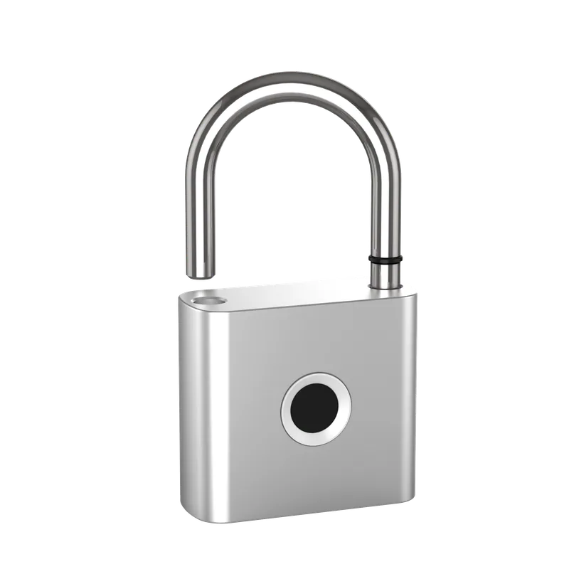 P50 product view 1