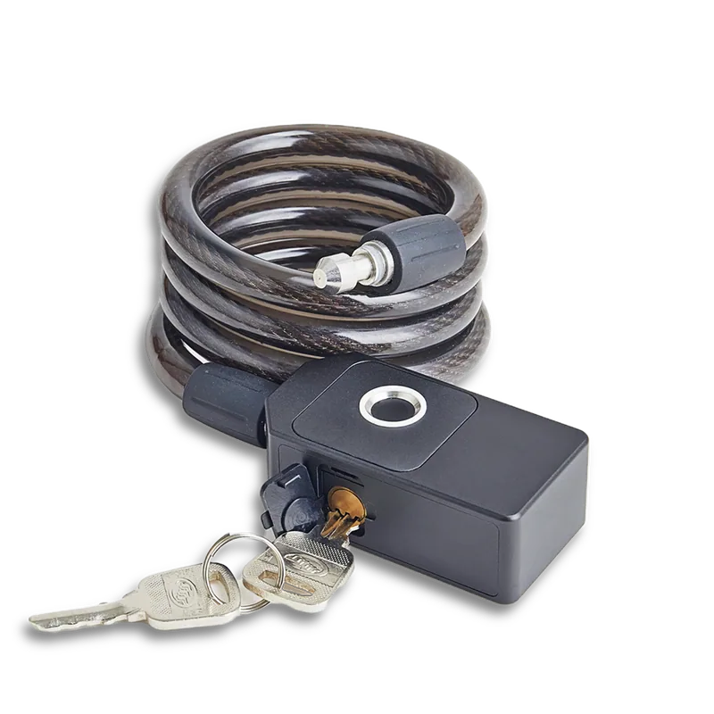 C3F Fingerprint Chain Lock with Keys